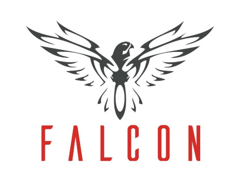 Falcon Power Lipo 5200/45-3S