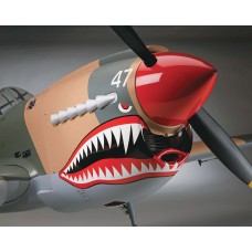 Giant P-40Warhawk ARF