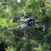 Sunnylife Drone Bracket Sports Camera Holder for Mavic 3 for Action Cameras