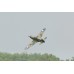 BLACK HORSE P-40C Tomahawk ARTF -including Air Retract